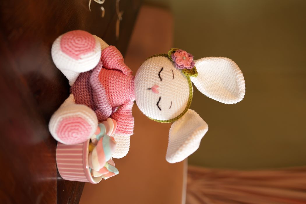 Olívia the Bunny